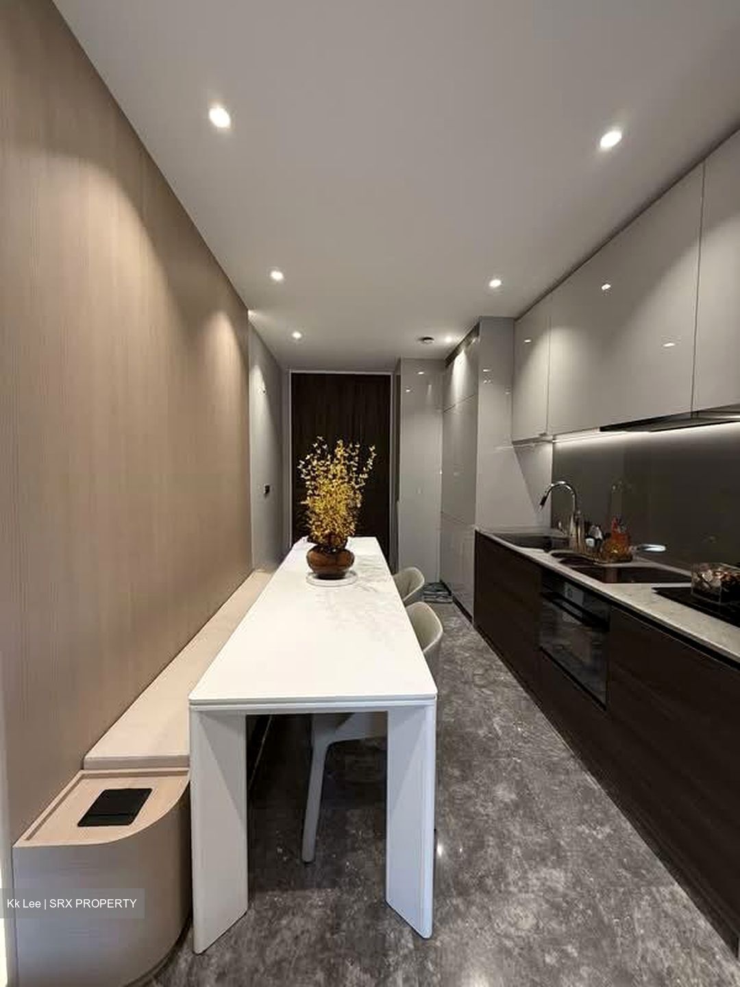 19 Nassim (D10), Apartment #527995211